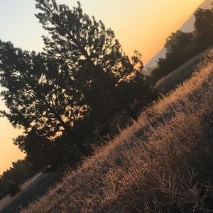 Meet your Posher, Sierra